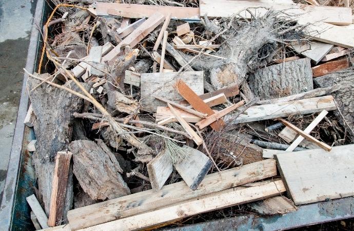 various tree debris in a dumpster